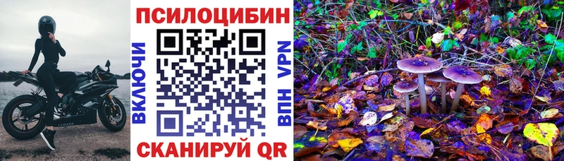 Купить закладки  Струнино  Галлюциногенные грибы GOLDEN TEACHER 